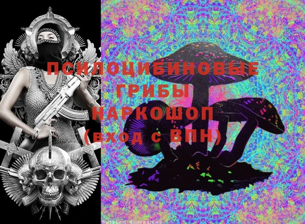 твердый Лабытнанги
