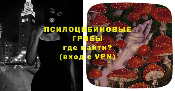 твердый Лабытнанги