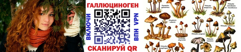 Галлюциногенные грибы Psilocybine cubensis  Купить где  Весьегонск 